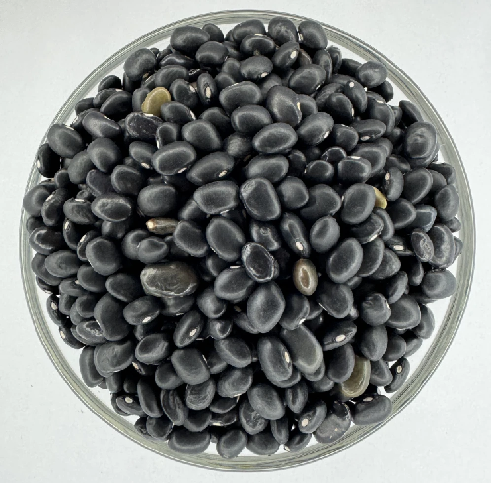 Black Bean (कालो सिमी)