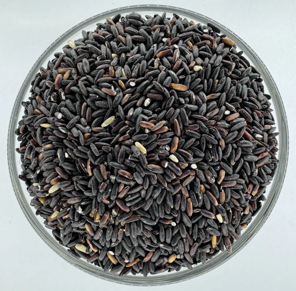 Black Rice ( कालो चामल )