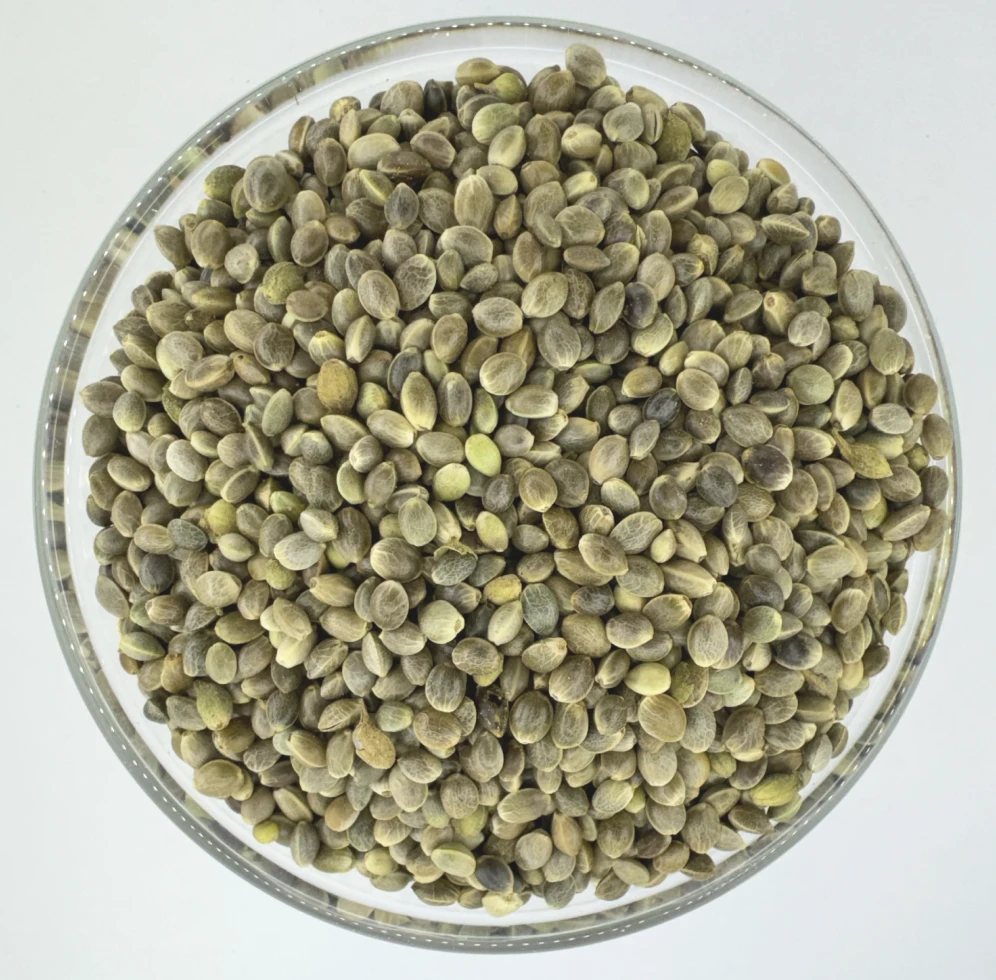 Hemp Seeds (भागो)