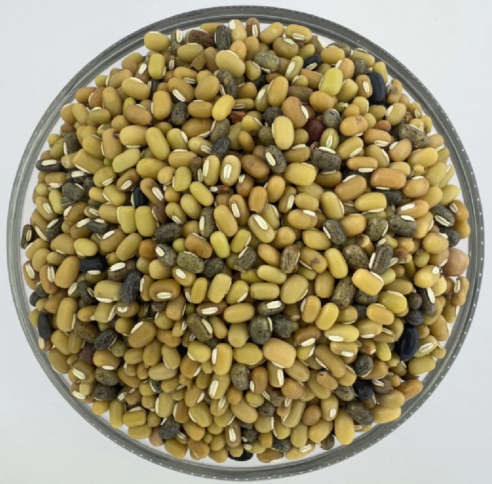 Mung Beans (गुरस)