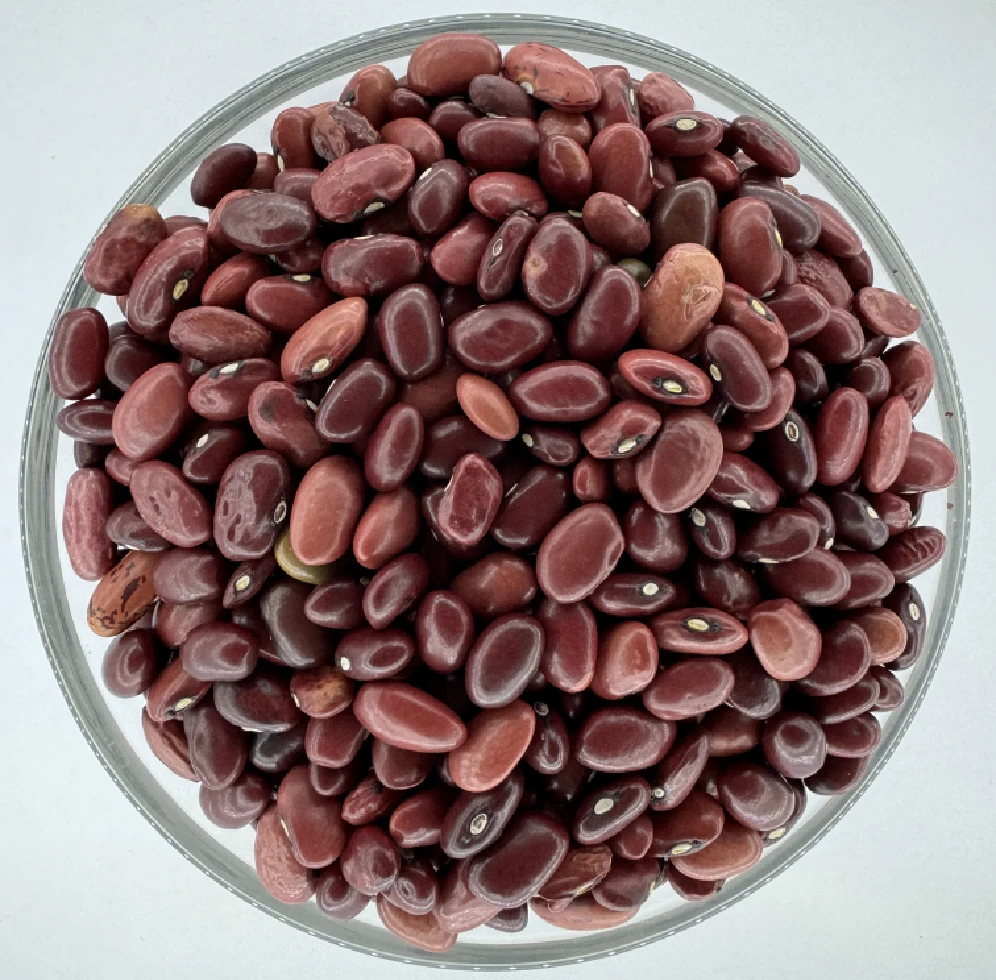 Red Bean (रातो सिमी )