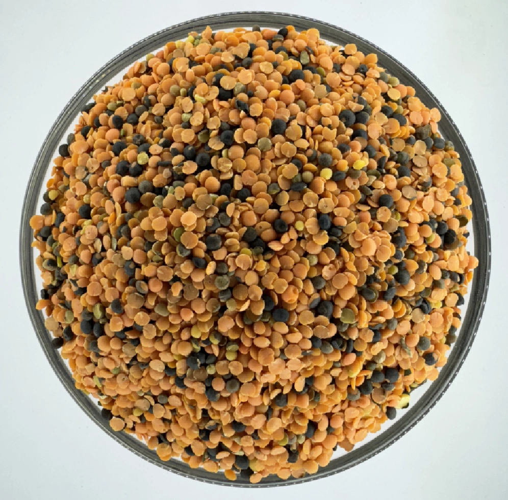 Red Masoro Lentils (रातो मासको दाल)