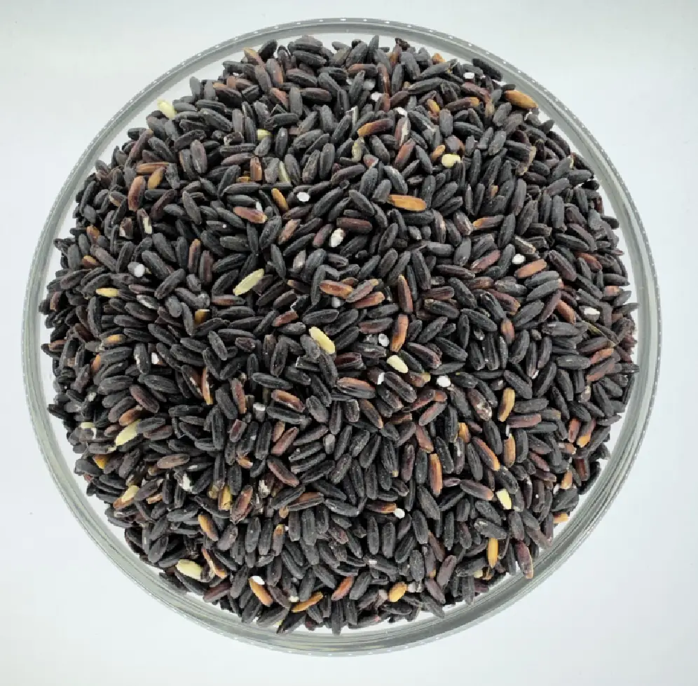 Black Rice ( कालो चामल )