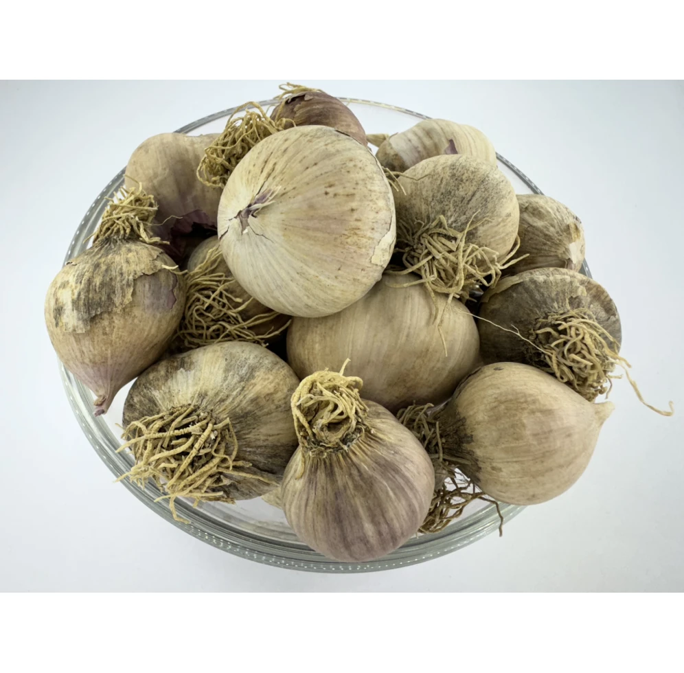 Local Jumla Garlic (लोकल्  जुम्ला लसुन्)