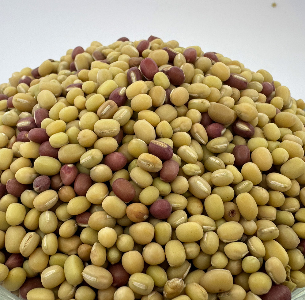 Jumla Mung Beans (गुरस)